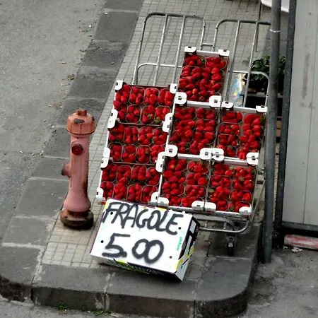 Апартаменты Celeste Ното