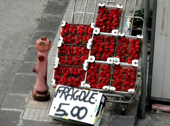 公寓 Celeste 诺托